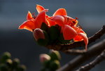 DSC_6268_resize