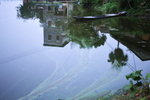 DSC_0002_resize
