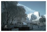 IRCW_10