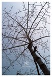 IRCW_5
