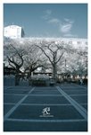 IRCW_8