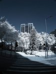 IMG_4638