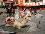 DSC00343