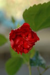 �j����