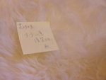 SANY0025