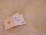 SANY0026