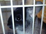 DSC00091