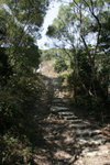 _MG_1242