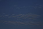 _MG_5758