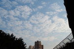 IMG_8015