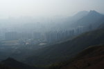_MG_8798