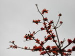 DSCN0070