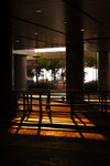 DPP_0007