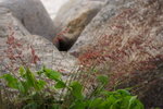 DPP_0023