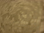 DSCN0222