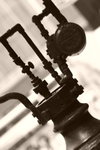 DPP_00236