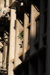 DPP_00250