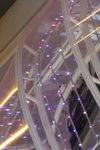 DPP_00274