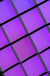 DPP_00275
