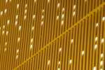 DPP_00277