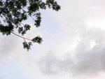 DSCN0277
