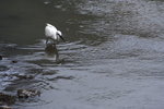 DPP_02012