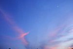 DPP_02166
