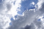 DPP_02481