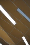 DPP_02523