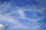 DPP_02524