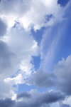 DPP_02525