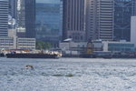 DPP_03142