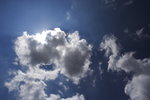 DPP_03317