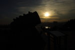 DPP_03352