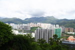 DPP_03493
