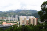 DPP_03495