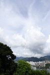 DPP_03502