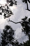 DPP_03506