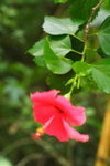 DPP_03509