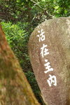 DPP_03510