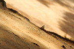 DPP_03513
