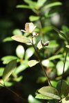 DPP_03518