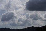 DPP_03522