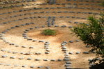 DPP_03537