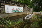 DPP_03539
