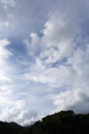 DPP_03545