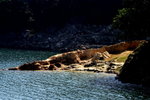 DPP_04629