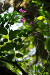 DPP_04642
