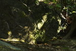 DPP_04645
