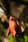 DPP_04656